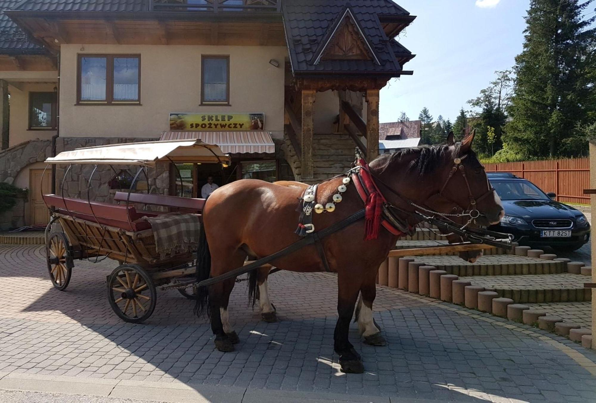 Pokoje Goscinne Pod Giewontem Zakopane Dış mekan fotoğraf