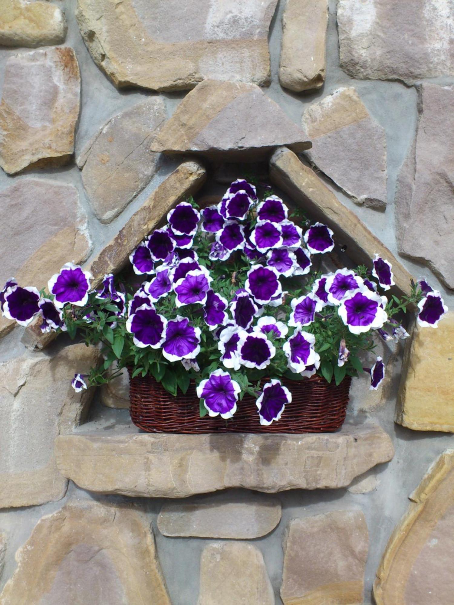 Pokoje Goscinne Pod Giewontem Zakopane Dış mekan fotoğraf
